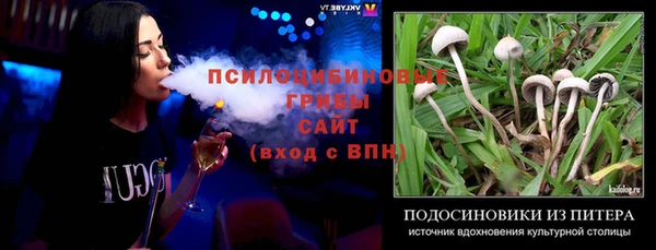 МДМА Ельня
