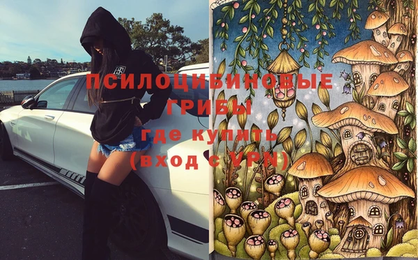 меф Заводоуковск